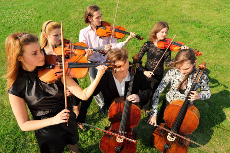LSSM group-violin